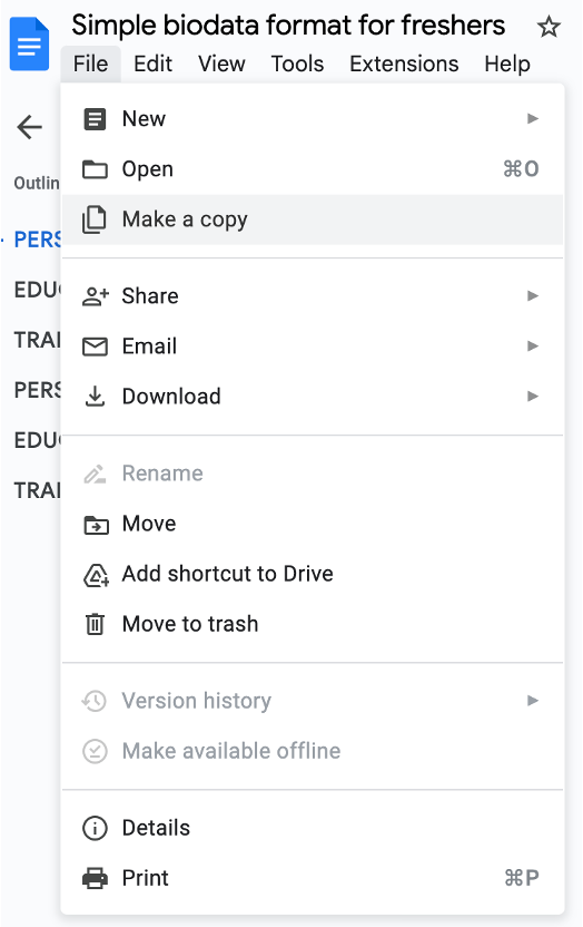 Select Make a Copy from File menu