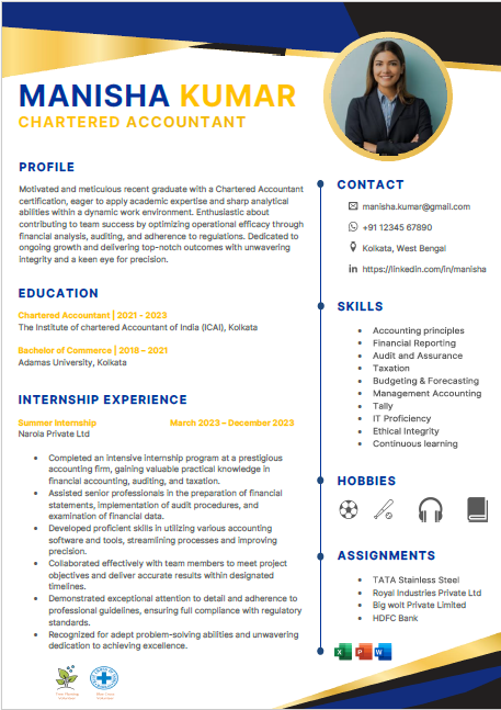 Chartered Accountant resume format
