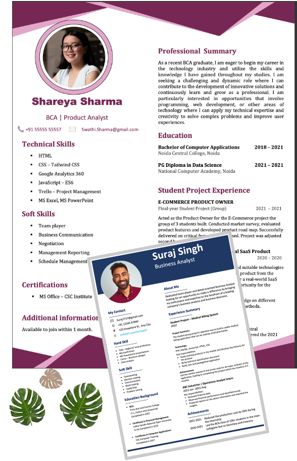Combo offer - BCA MCA Fresher 2 Sample resume illustration