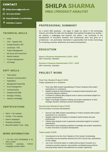 MBA Fresher Internship Example resume format